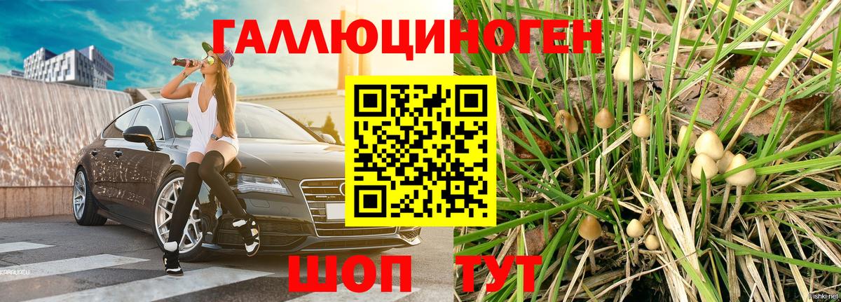 Армавир  Псилоцибиновые грибы Magic Shrooms  Вход с VPN  Галлюциногенные грибы Cubensis 